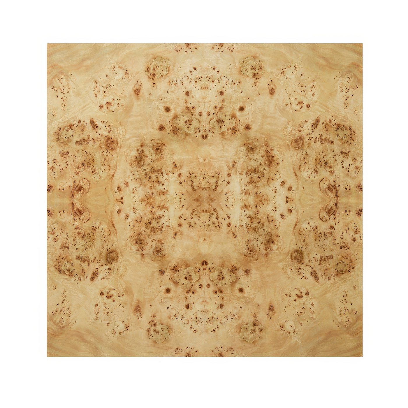 Modern Square Light Burl Wood Coffee Table
