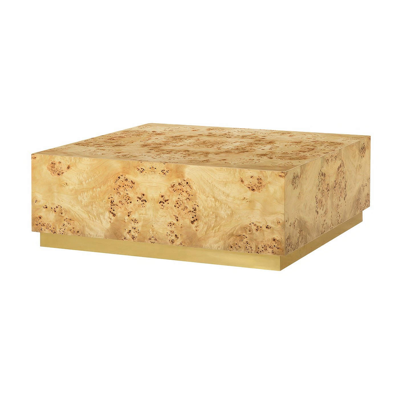 Modern Square Light Burl Wood Coffee Table
