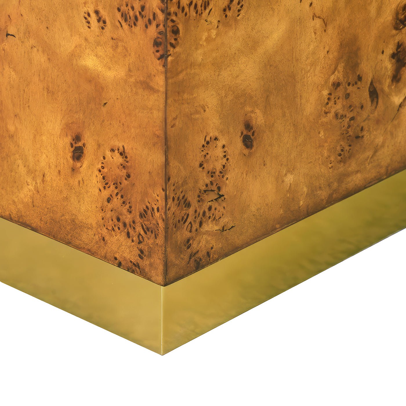 Modern Square Burl Wood Coffee Table