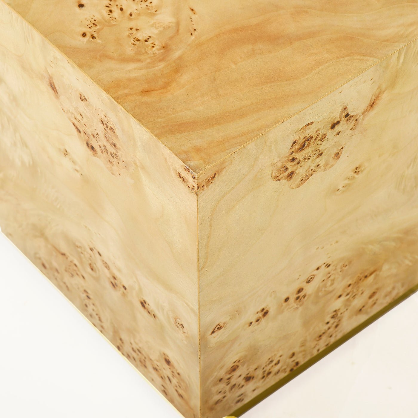 Modern Square Light Burl Wood Coffee Table