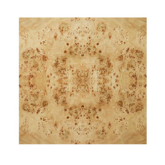 Modern Square Light Burl Wood Coffee Table